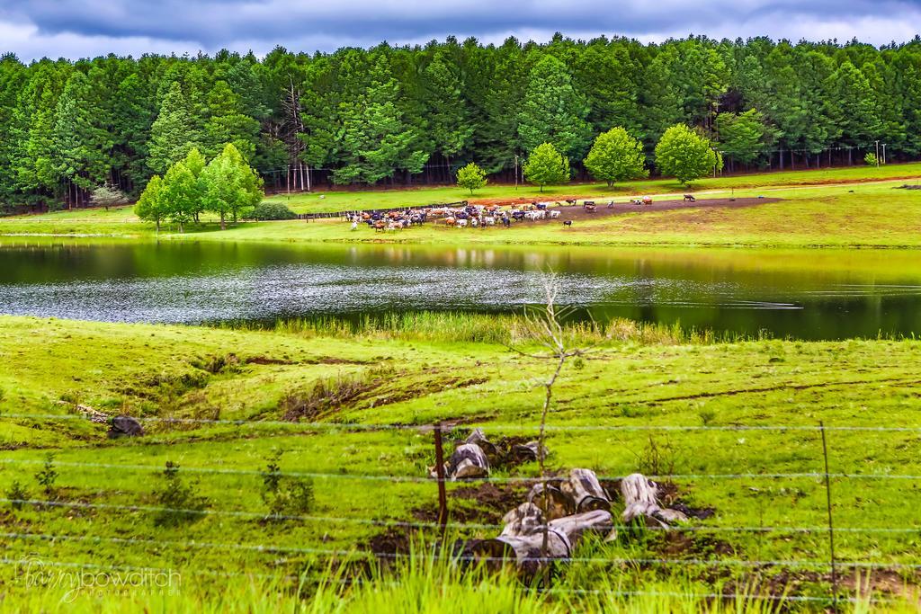 Umzimkulu River Lodge Underberg Luaran gambar