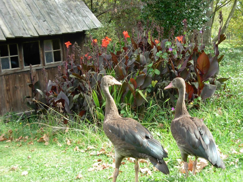Umzimkulu River Lodge Underberg Luaran gambar
